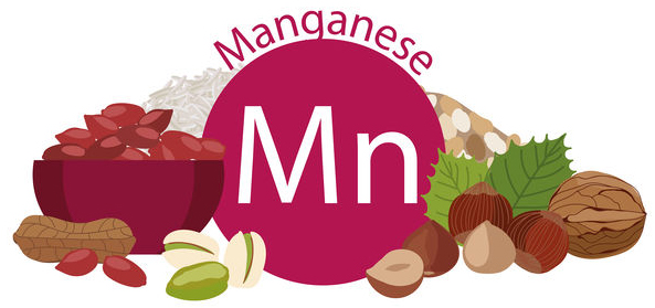 Manganese foods thyroid