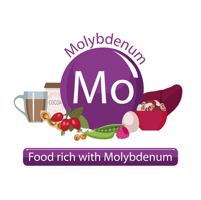 Molybdenum thyroid foods