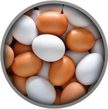 Eggs contain a lot of tyrosine
