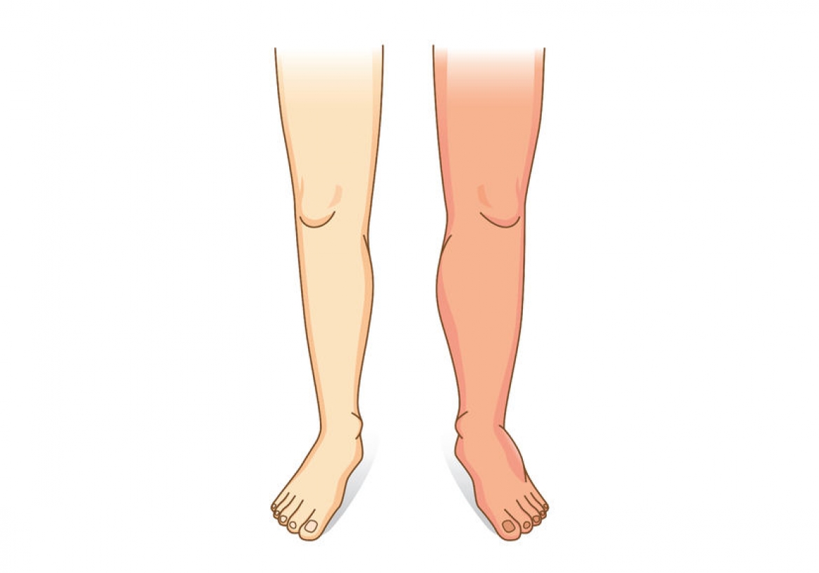 Части тела ноги для детей